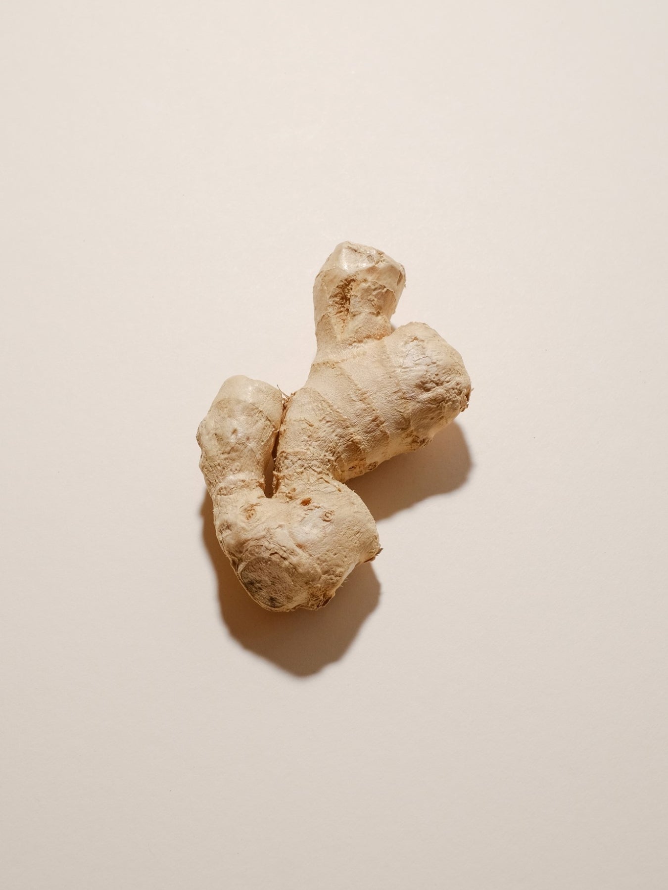 Ginger Roor