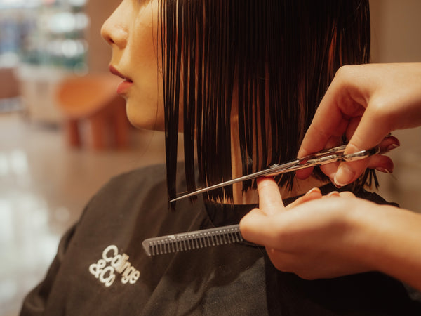 Collinge & Co Client Takeover Photoshoot Summer hair trends